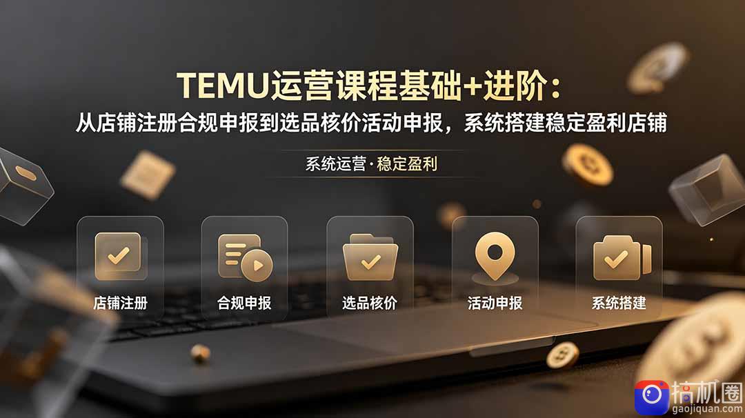 TEMU运营课程(基础 进阶