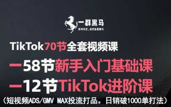 TikTok全套视频课,新手入门 进阶课,短视频ADS-GMV MAX投流打品,日销破1000单打法