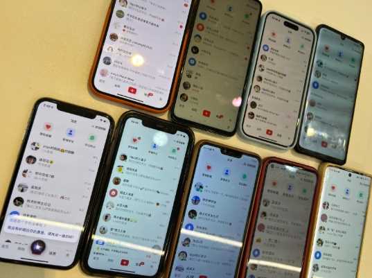 首发揭秘小红书私域日引500 创业粉四大模板，月入过W 全程干货!没有废话!保姆教程!