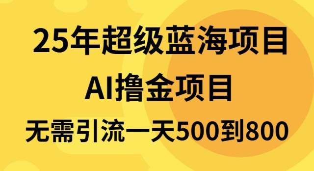 (13746期)25年超级蓝海项目一天800 ,半搬砖项目,不需要引流