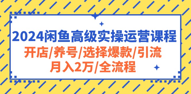 (10711期)2024闲鱼高级实操运营课程:开店/养号/选择爆款/引流/月入2万/全流程
