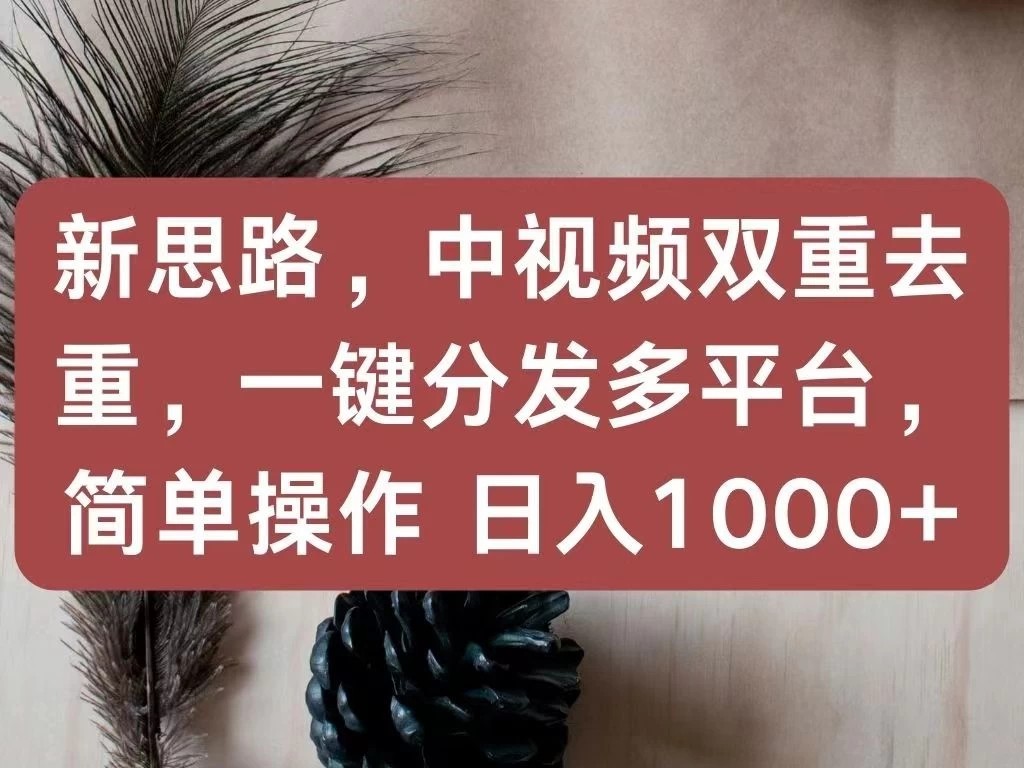 新思路，中视频双重去重，一键分发多平台，简单操作，日入1000 ！快来试试吧！