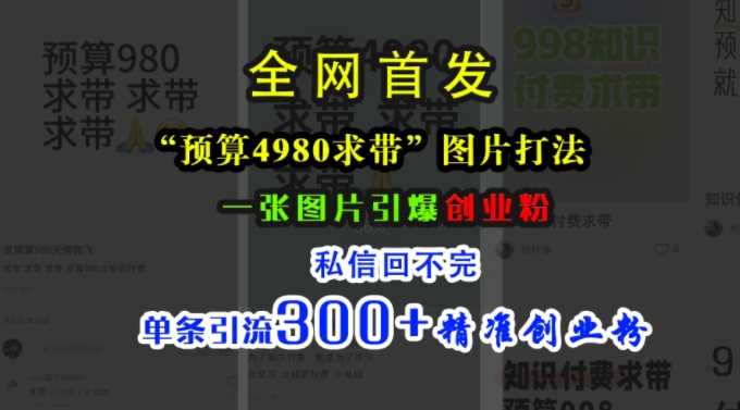 小红书“预算4980带我飞”图片打法，一张图片引爆创业粉，私信回不完，单条引流300 精准创业粉