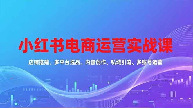 (16695期)小红书电商运营实战课,店铺搭建、多平台选品、内容创作、私域引流、多账号运营等玩法