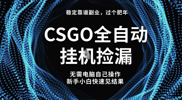 【稳定副业】全球最热门游戏CSGO全自动捡漏，最新玩法，新手小白日入5张 【揭秘】