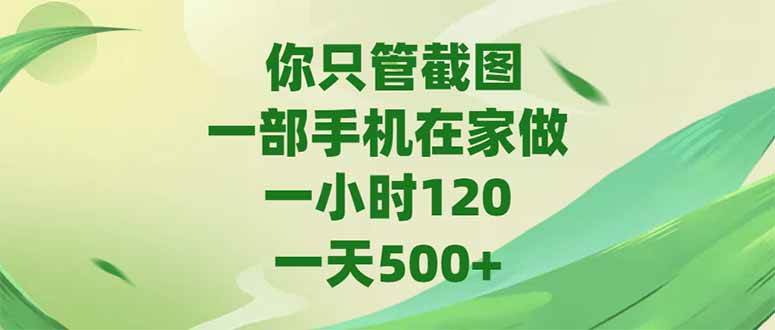 （15039期）你只管截图，一部手机在家做，一小时120，-天500 