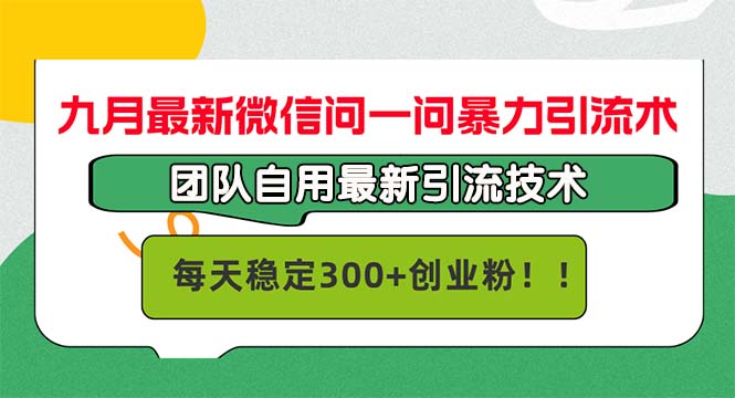 （12735期）九月最新微信问一问暴力引流术，团队自用引流术，每天稳定300 创…