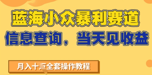 蓝海小众暴利赛道，信息查询，当天见收益，不讲玄学，7天搞了2W 