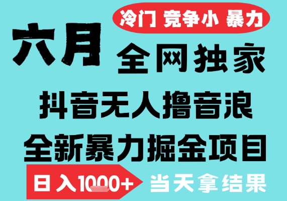 2025年6月高爆抖音无人直播最新撸音浪掘金项目，无脑日入1k ，低门槛小白可做，可矩阵放大【揭秘】