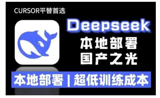 2025年deepseek R1 大型模型本地安装部署(文件 教程)本地部署，超低训练成本