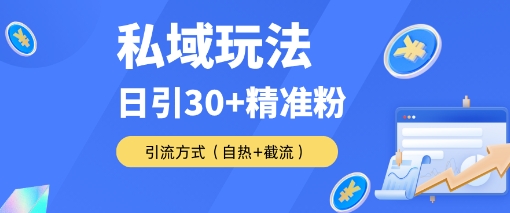 私域金融课变现玩法，日引30 精准流量，转化率50%日销5-10单，一单188