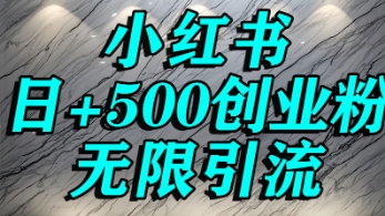 小红书无限引流创业粉，单人操作日引500 精准创业粉