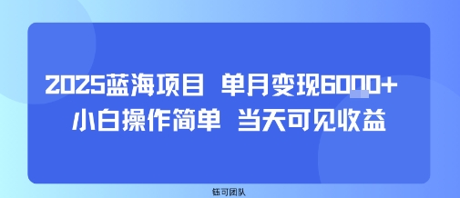 2025蓝海项目 单月变现6k  小白操作简单 当天可见收益
