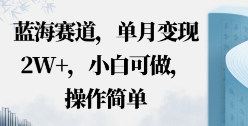 蓝海赛道，小红书私域项目，单月变现2W ，小白可做，操作简单