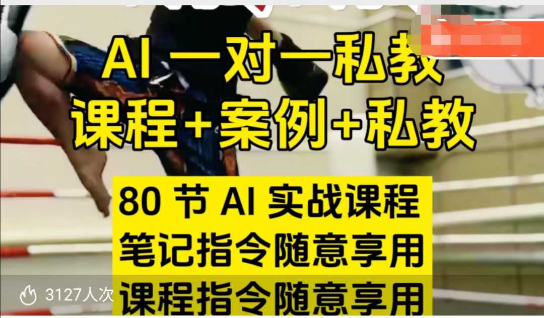 AI指令实战课，课程 案例，80节AI实战课程，笔记指令随意享用，课程指令随意享用（更新7月）