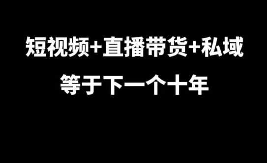 短视频 直播带货 私域等于下一个十年,大佬7年实战经验总结