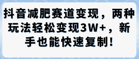 抖音减肥赛道变现，两种玩法轻松变现3W ，新手也能快速复制