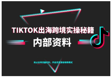 TikTok跨境电商0-1搭建运营，TK出海跨境实操秘籍（10月更新）
