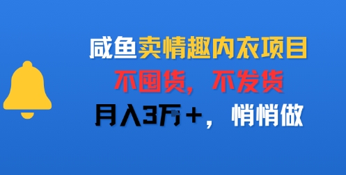 咸鱼卖情趣内衣项目，不囤货，不发货，月入3W ，悄悄做