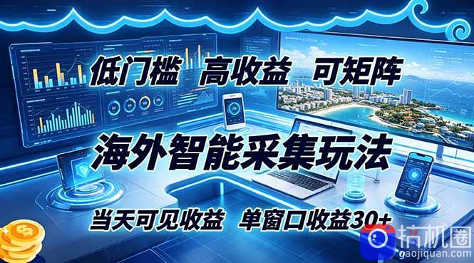 海外智能采集玩法，低门槛高单价可矩阵，当天可见收益，单窗口30 