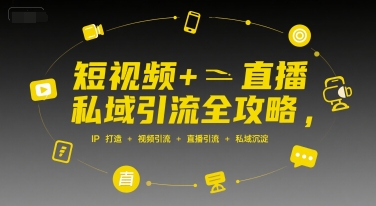 短视频 直播私域引流全攻略，IP打造  视频引流  直播引流  私域沉淀