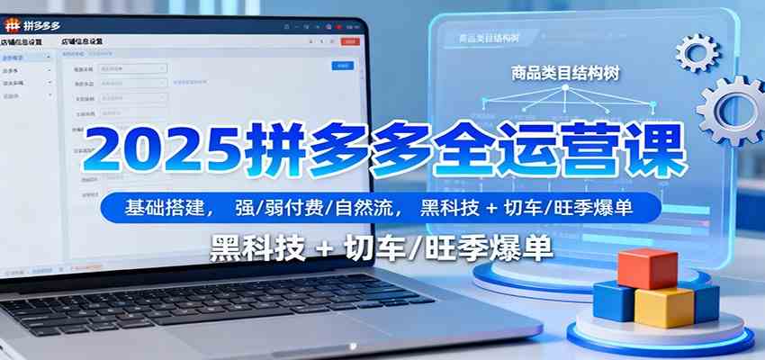 2025拼多多全运营课：基础搭建，强/弱付费/自然流，黑科技   切车/旺季爆单
