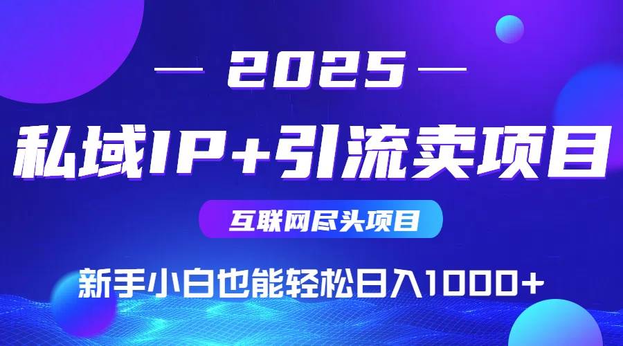 （15531期）2025网创尽头项目，私域IP 引流，新手小白也能在家日入1000 