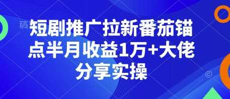 短剧推广拉新番茄锚点半月收益1万 大佬分享实操