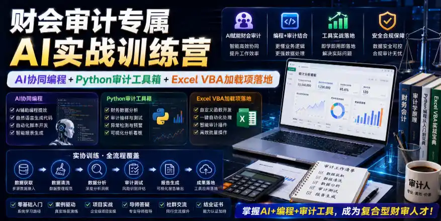 财会审计专属AI实战训练营｜AI协同编程 Python审计工具箱 Excel VBA加载项落地(更新0816)