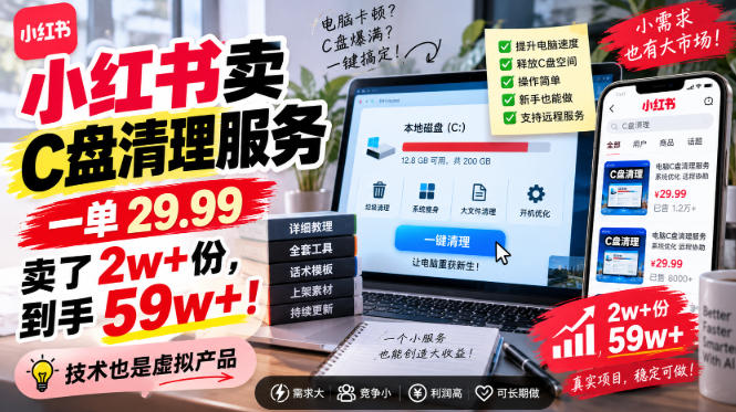 小红书卖C盘清理服务，一单29.99，卖了2w 份，技术也是虚拟产品