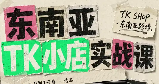 东南亚TK小店实战课(基础 进阶)