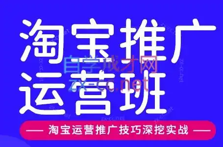 美迪电商·淘宝高级运营班 推广运营班(更新9月)