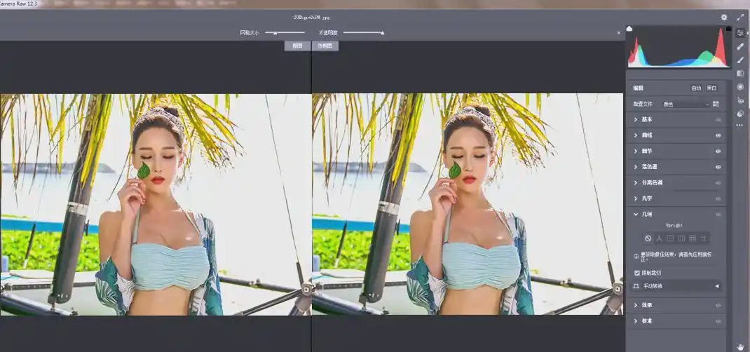 RAW处理Adobe Camera Raw v18.7.0中文版
