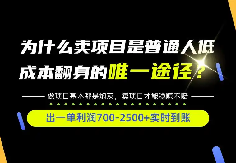普通人如何靠互联网賺取自己的第一桶金！全类目实操型教学，看完你全都懂了！【揭秘】