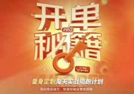 天下网商·淘宝天猫陪跑计划(更新10月)