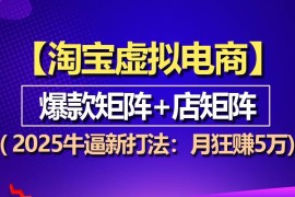 （13687期）【淘宝虚拟项目】2025牛逼新打法：爆款矩阵 店矩阵，月狂赚5万