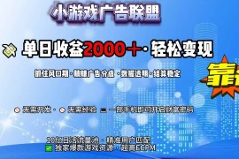 （15332期）抖音小游戏，日收益2000 暴利逆袭