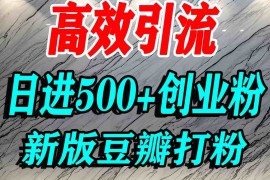 豆瓣打精准创业粉，老平台有老平台优势，努力做日进500 流量不是问题