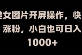 美女图片开屏操作，快速涨粉，小白也可日入1k【揭秘】