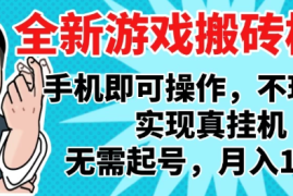 2025最新独家游戏搬砖，单手机操作，全自动挂机，无需玩游戏，月入1W 