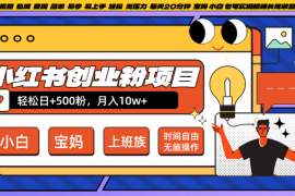 小红书创业粉日 500，月入10W ，无脑操作，每天20分钟