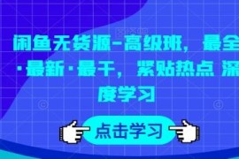 闲鱼无货源-高级班，最全·最新·最干，紧贴热点 深度学习