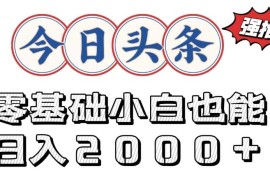 今日头条两种赛道，复制粘贴，学生小白宝妈都能日入2000 