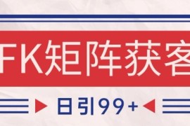 小红书某音FK赛道引流获客 自热矩阵日引200 【揭秘】