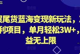 外贸尾货蓝海变现新玩法，冷门暴利项目，单月轻松3W ，收益无上限【揭秘】