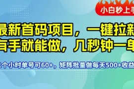 最新首码项目，一键拉新有手就能做，几秒钟一单，1个小时单号可60 ，矩阵批量做每天5张【揭秘】