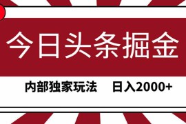 （9832期）今日头条掘金，30秒一篇文章，内部独家玩法，日入2000 