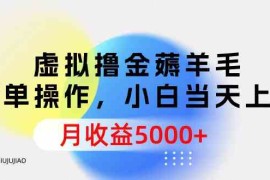 （9864期）虚拟撸金薅羊毛，简单操作，小白当天上手，月收益5000 