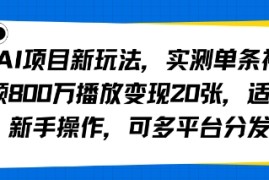 AI项目新玩法，实测单条视频800W播放变现20张，适合新手操作，可多平台分发