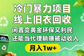 冷门暴力项目，线上旧衣回收，闲置变黄金环保又利民，还能当代理躺賺被动收入，变现 精准引流全流程